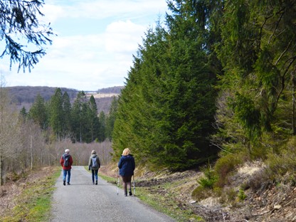 Wandelen door de Hoge Venen in België