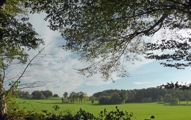 De mooiste netwerkwandelingen in Twente