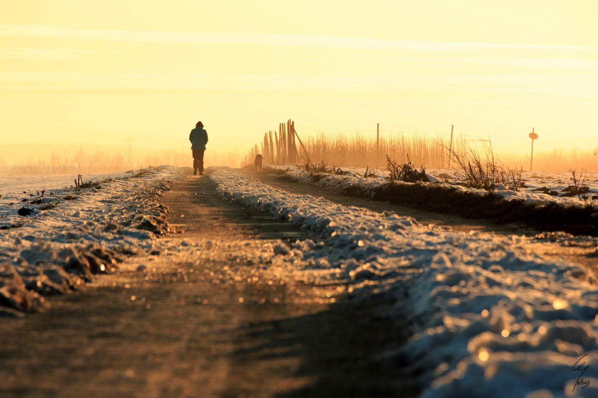 afbeelding van een wandelaar in de winter.