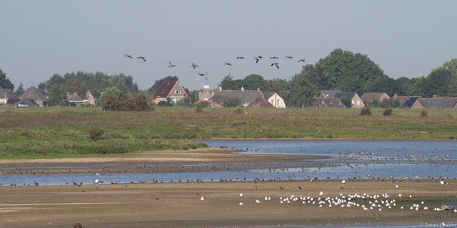 Laarzenpad bij Vreugderijkerwaard