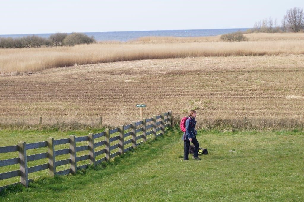 Marleen Veenstra loopt samen met haar hondje Nori het Elfstedenpad