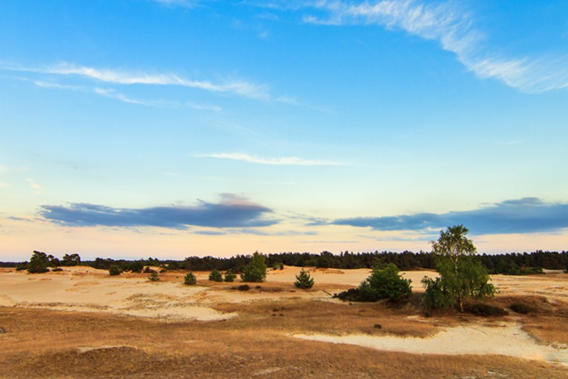 Wandelroutes Op De Veluwe 5 Tips Boswachterspad Kootwijk