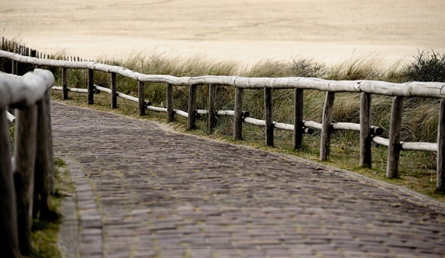 Natuurgebied de Muy en Slufter