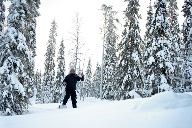 Winterwandelen Sneeuwschoenwandelen In Duitsland Sneeuwschoenwandelen In Het Zwarte Woud