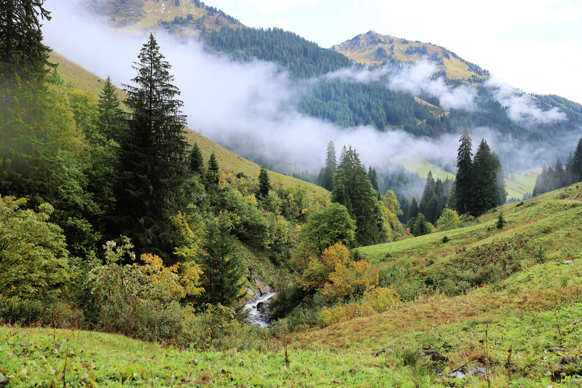 afbeelding van het Kleinwalsertal