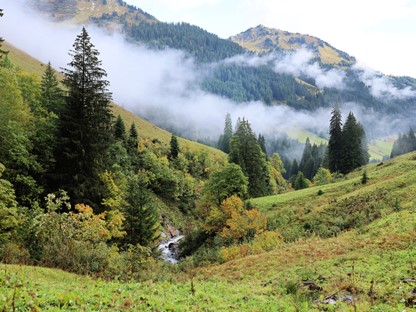 afbeelding van het Kleinwalsertal