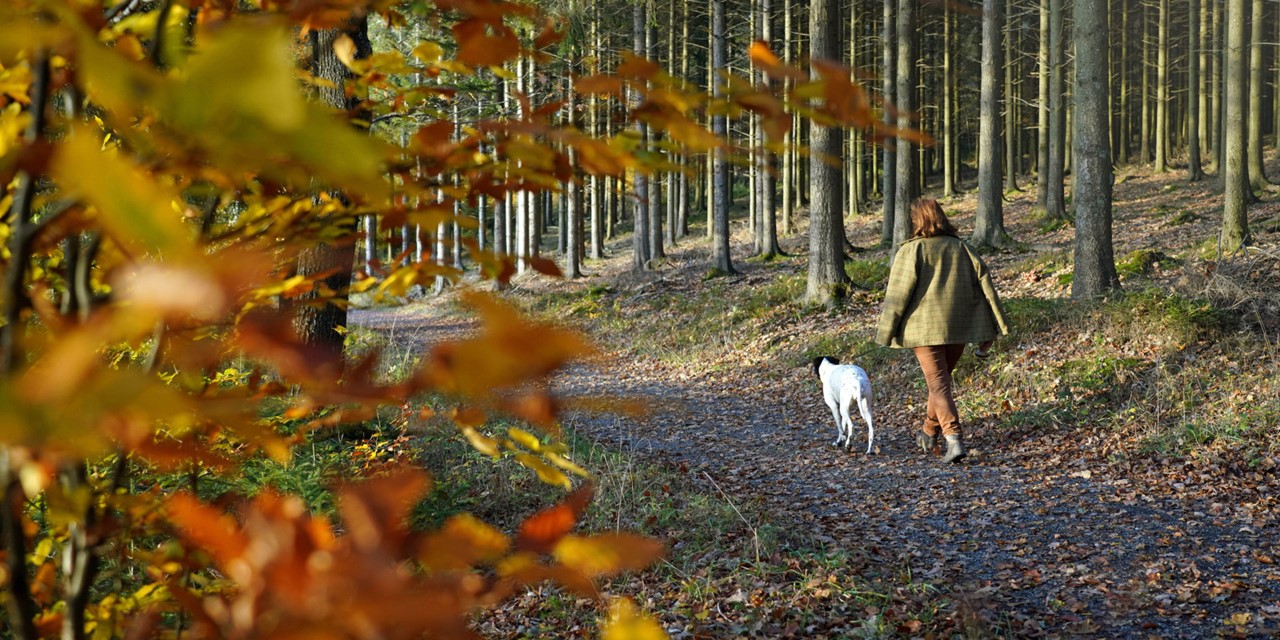 Vrouw met hond in bos