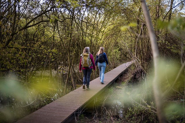 Wandelen in de Achterhoek, Winterswijk