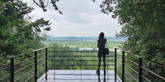 10 Wandelroutes Op De Utrechtse Heuvelrug Blauwe Kamer Rhenen