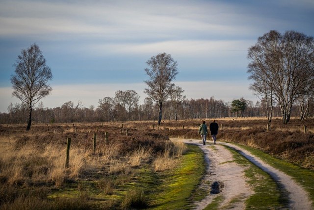Ontdek De Groote Peel Tip Vooraf