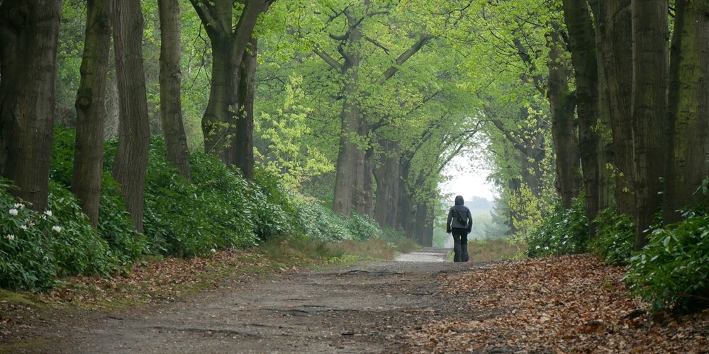 Overijsel Wandelroute Met Reuma (1)