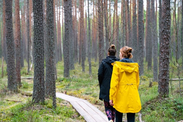 Wandelen Met En Tegen Angst: Vrouwen boswandeling