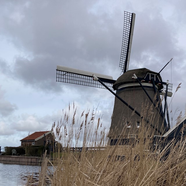 afbeelding van een molen en riet, aan het water.