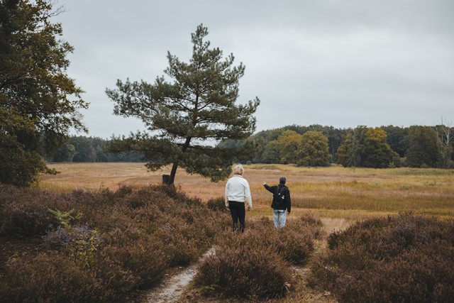 Wandelen in Hart van Limburg