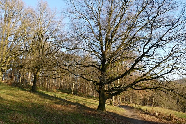 De Duivelsberg