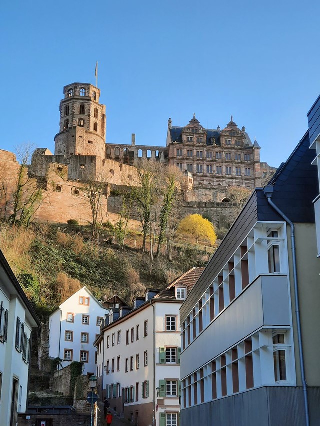 Afbeelding Heidelberg