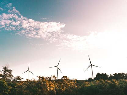 Wandelroute Pampushout Scheepswrakkenroute