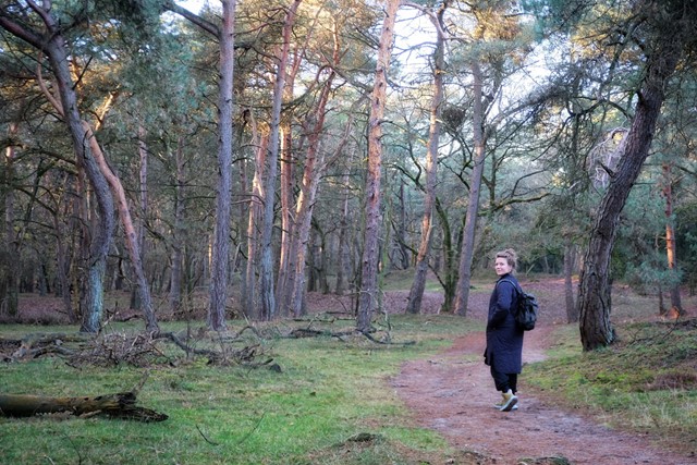 Review HOKA Anacapa 2 GTX wandelschoenen; in het bos in Sint Anthonis.