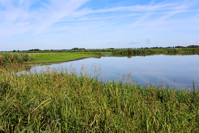 Groene Hartpad Etappe 10 Alphen Ad Rijn – Woerdense Verlaat Nieuwkoopse Plassen