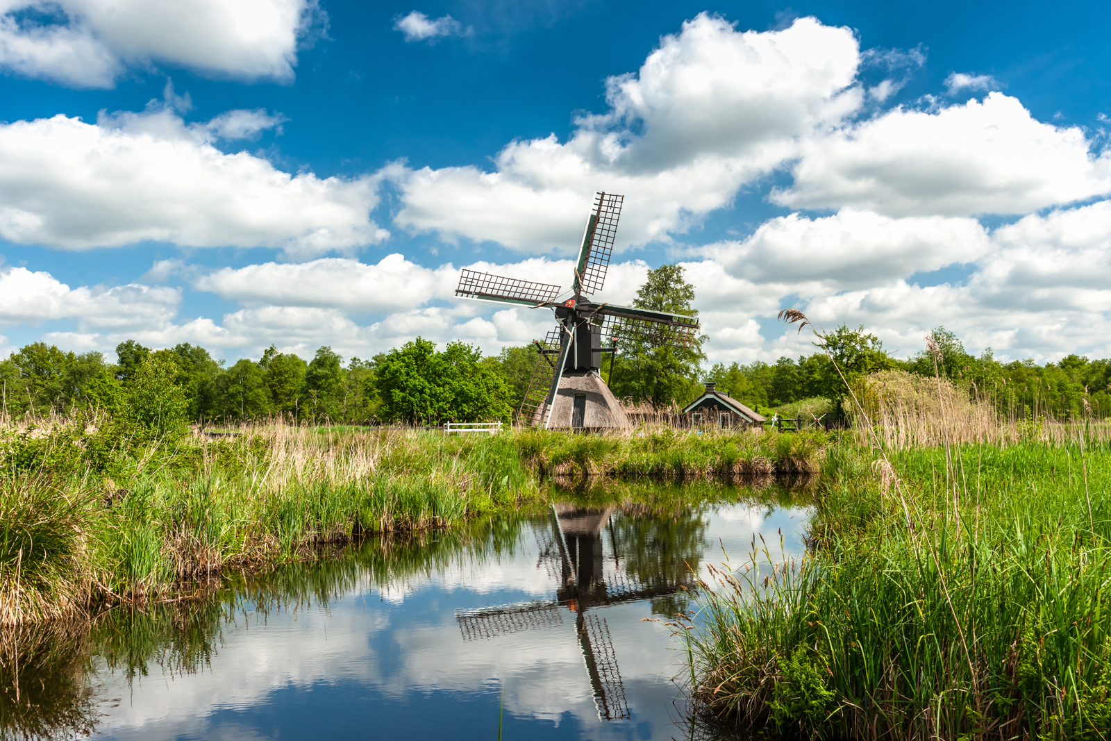 afbeelding van een molen in een waterrijk en groen landschap.