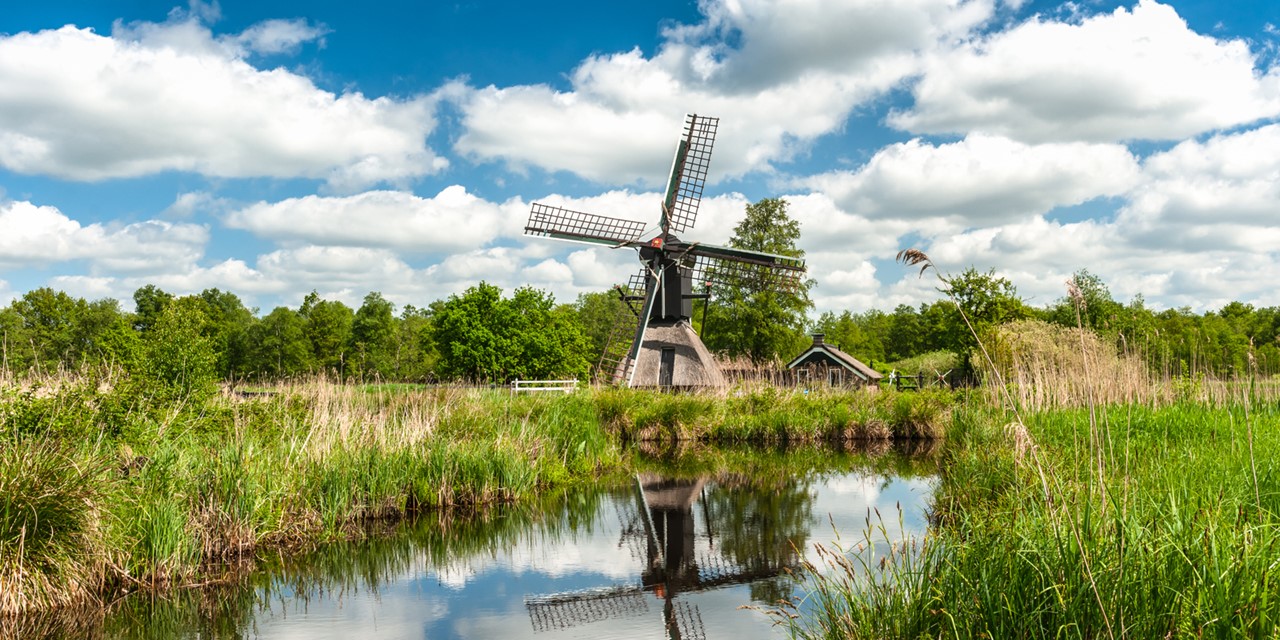 afbeelding van een molen in een waterrijk en groen landschap.