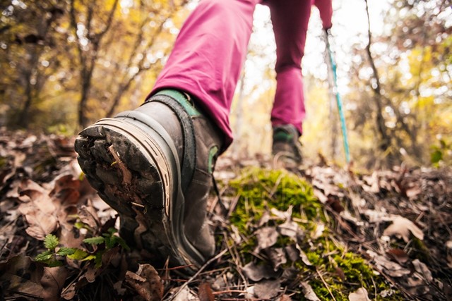 Persoon wandelt in het bos