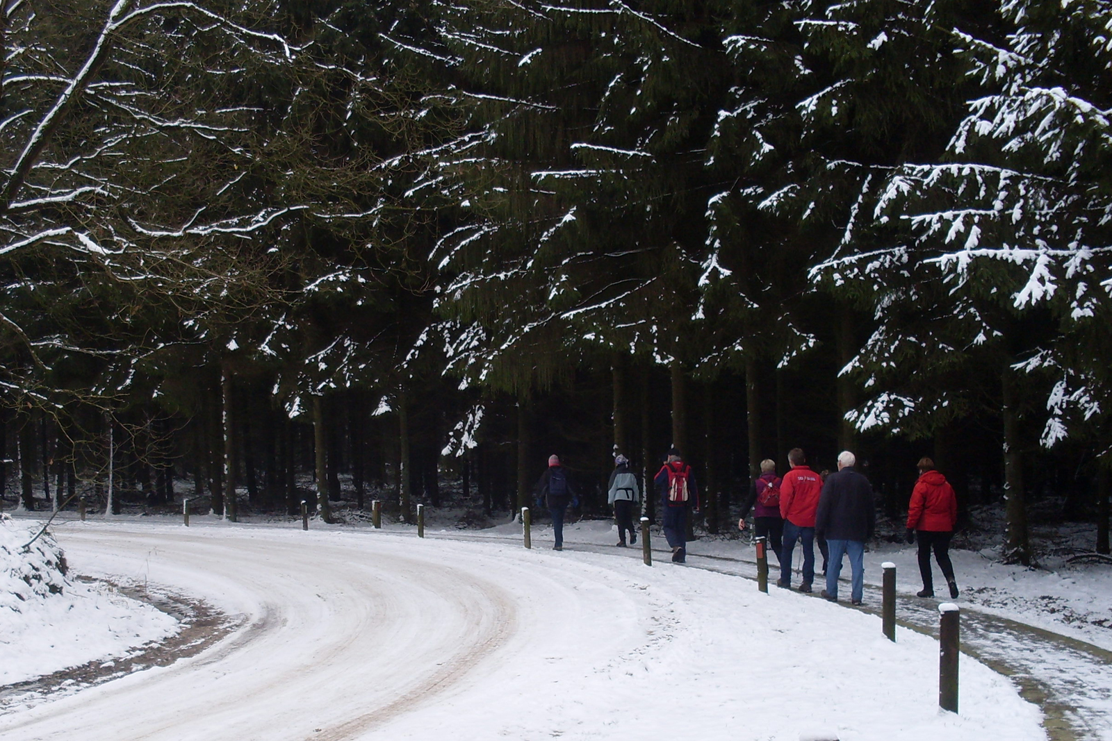 Eindejaarswandeltochten: samen wandelen we 2023 uit