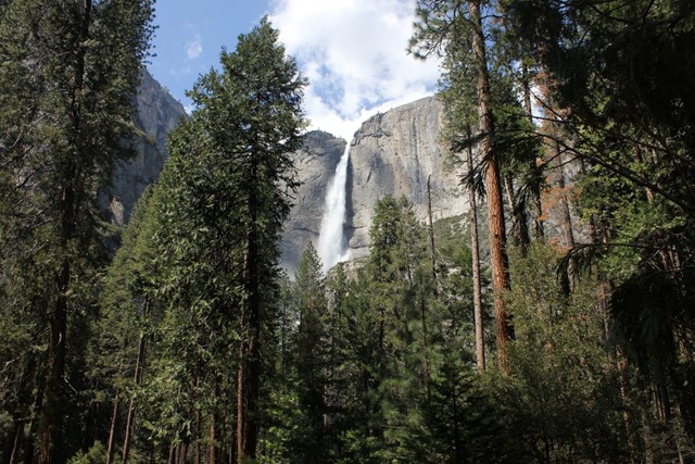 Yosemite National Park (Afbeelding: Alex Ohan)
