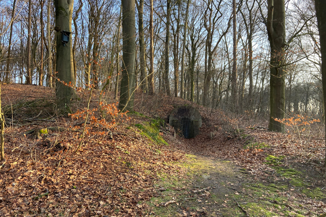 Wandelroute Wandeling Vol Verhalen Op Landgoed Warnsborn: Ijskelder warnsborn