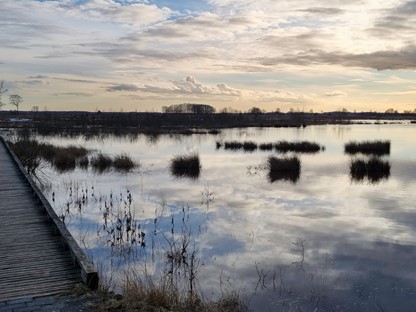 Wandelroute Dwingelderveld Familiepad Noordenveld