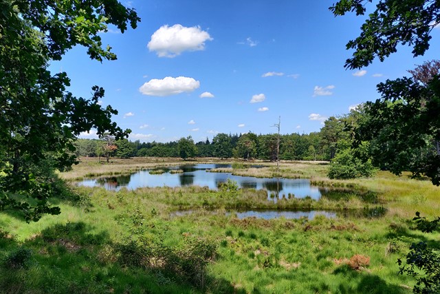 waterplas met blauwe lucht en wolken.
