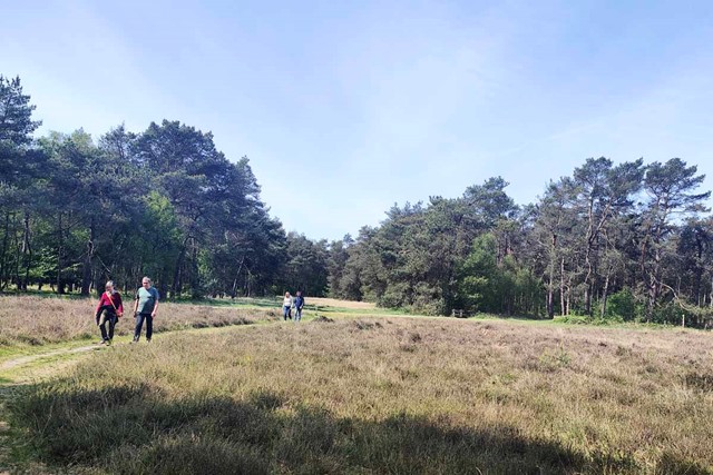 wandelaars op de heide bij het bos.