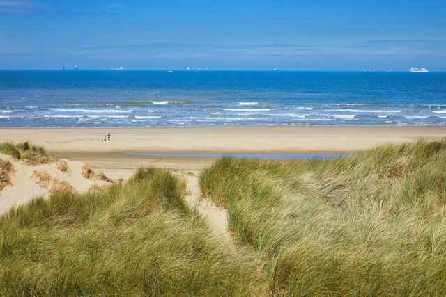 gras en zandstrand aan zee met een blauwe lucht.