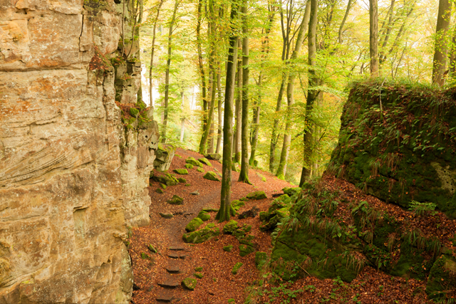 Wandelen In Duitsland Rijnland, Teufelsschlucht