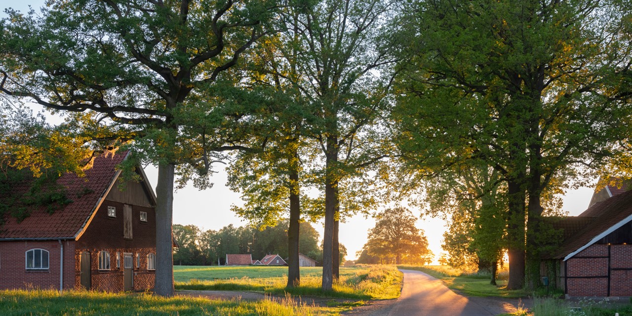 Trage Tocht Losser Haagse Bos