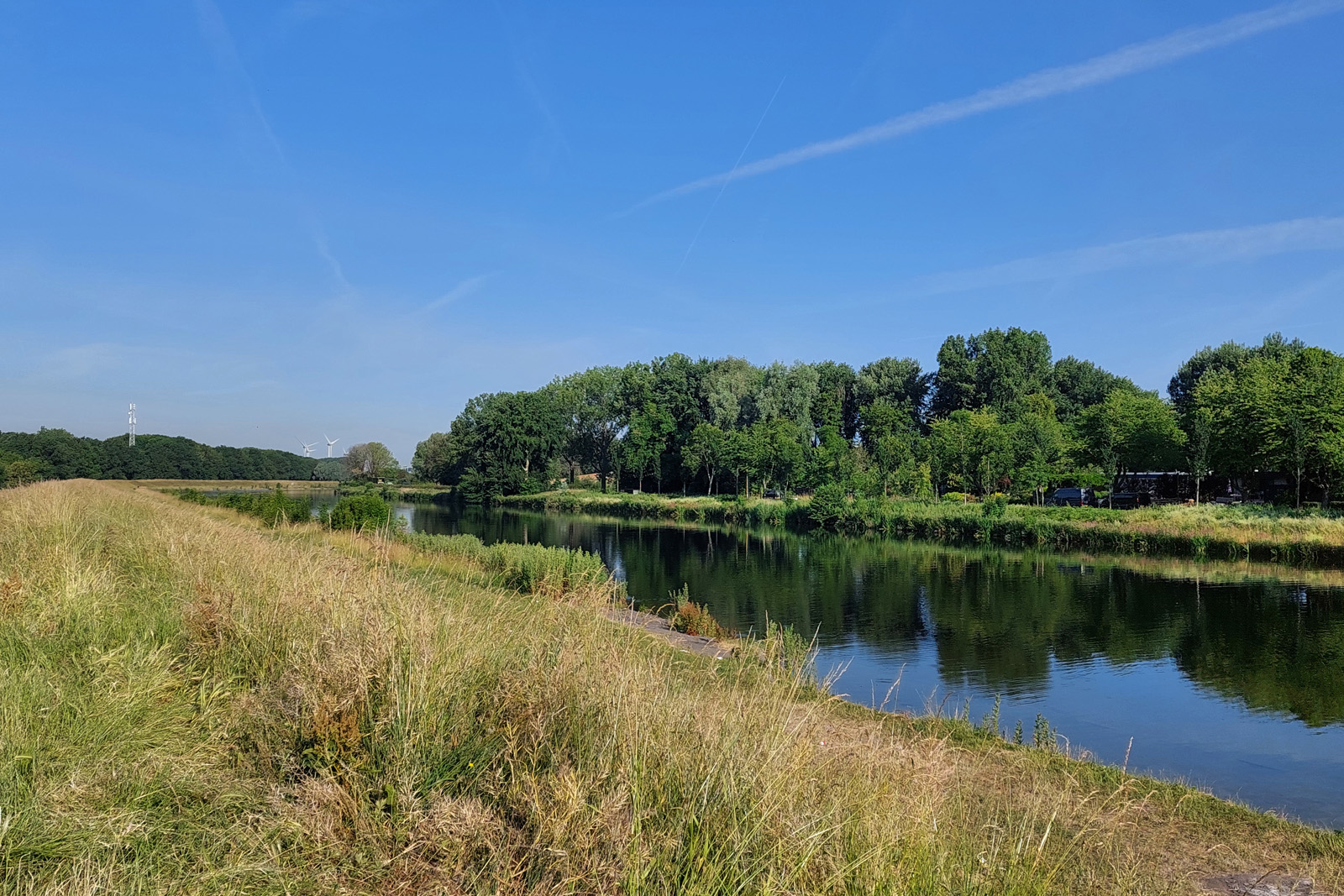 natuur rondom Spijkenisse, aan de waterkant.