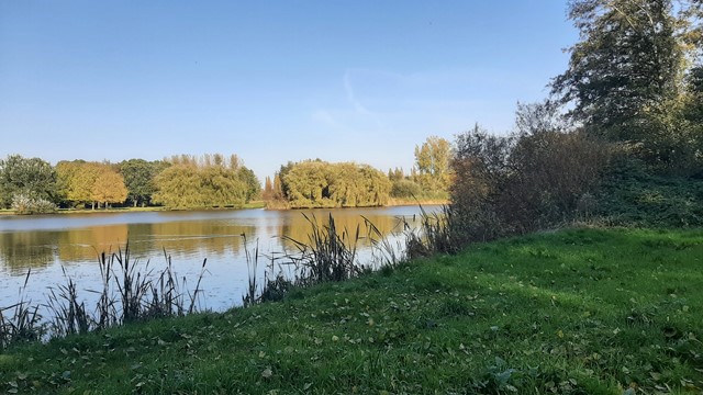 Water bij het Lage Bergse Bos 
