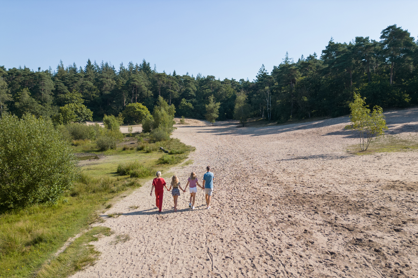 Naar het bos drie ontspannen wandeluitjes; Utrechtse Heuvelrug