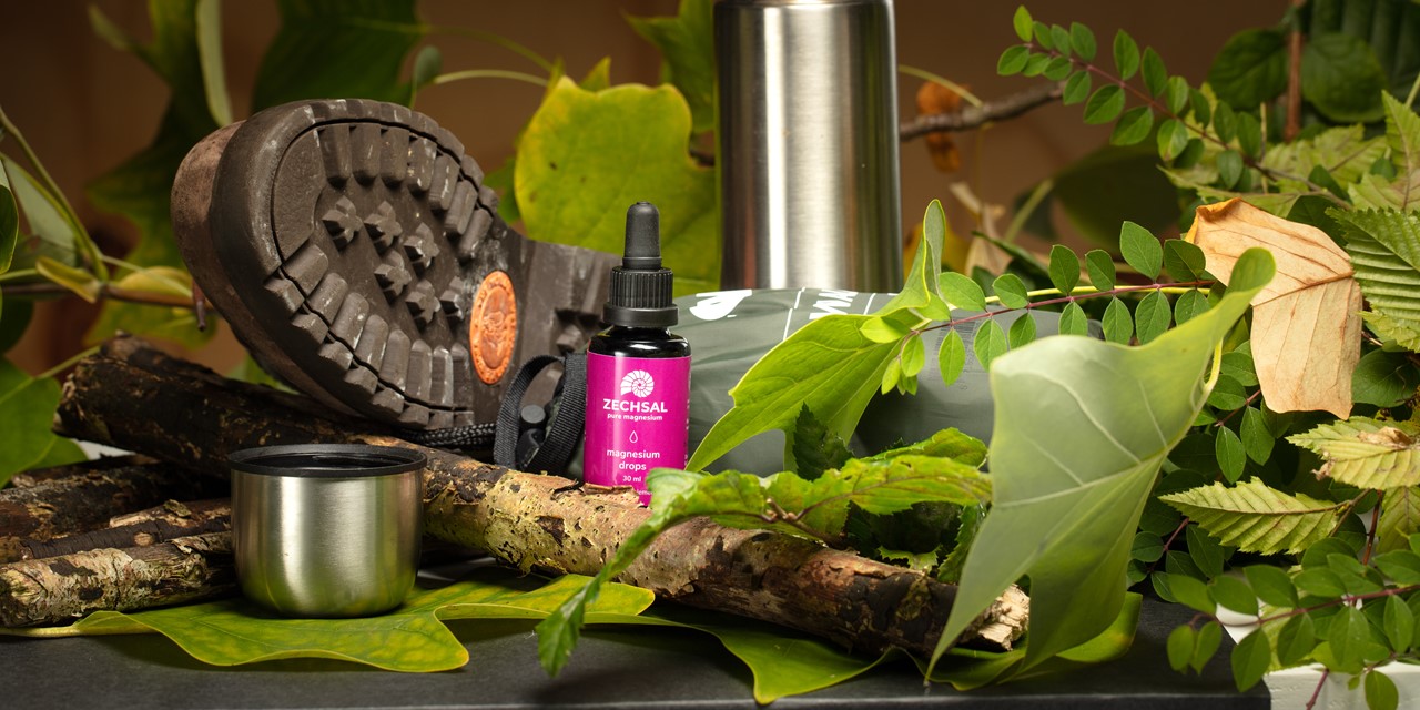 CR | Header | Maak bewegen op een natuurlijke manier soepel met Zechsal