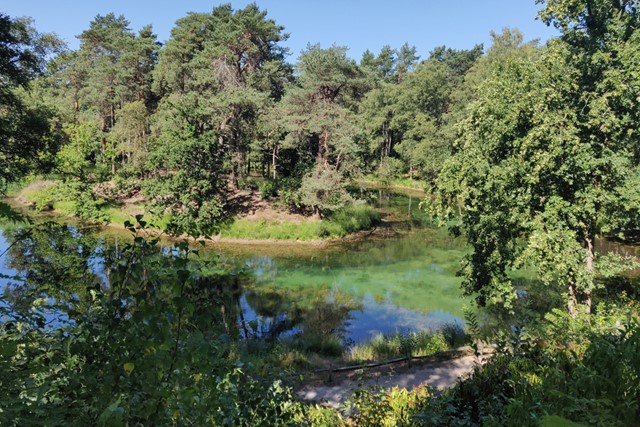 water en bos in landgoed Heidestein.