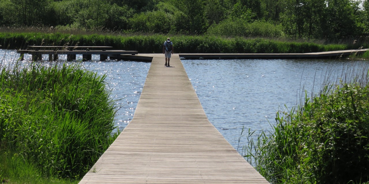 Vlonder over het water