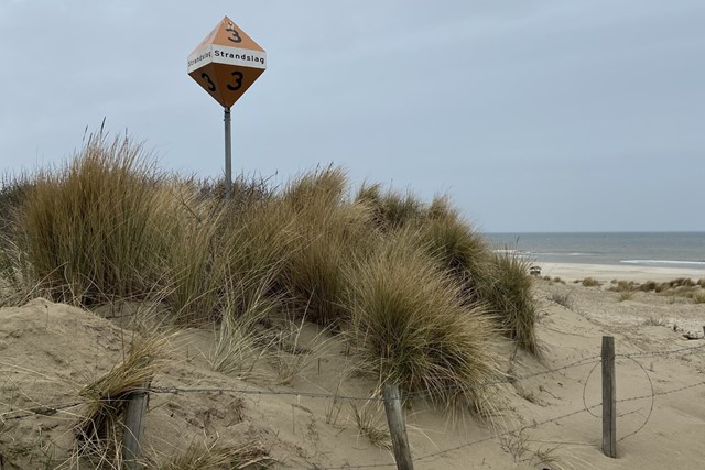 afbeelding van de kust.