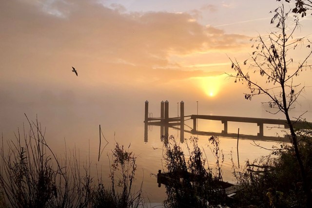 Wandelen In De Vroege Ochtend Dit Zijn De Voordelen Schoonheid Van De Natuur