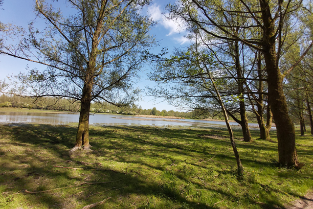 Boswachterspad Horsterwold Stille Kern Grote Waterplas