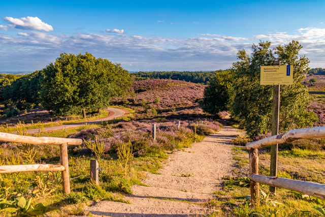 Boswachterspaden Wandelroutes, Informatie En Tips Wat Zijn Boswachterspaden