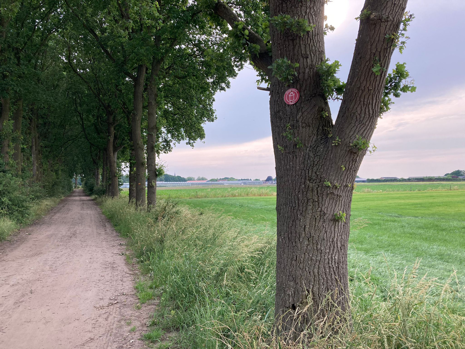 wandelen door de weilanden met Melkbussenmarkering op de boom.