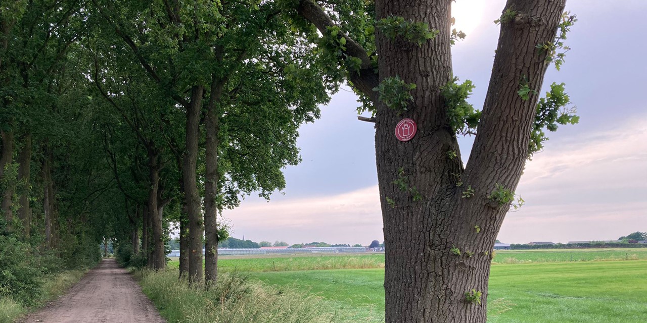 wandelen door de weilanden met Melkbussenmarkering op de boom.