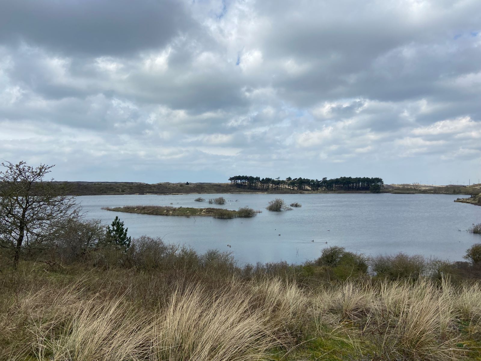 Tussen Stad En Groen Van Haarlem Naar De Kennemer Duinen: Vogel meer