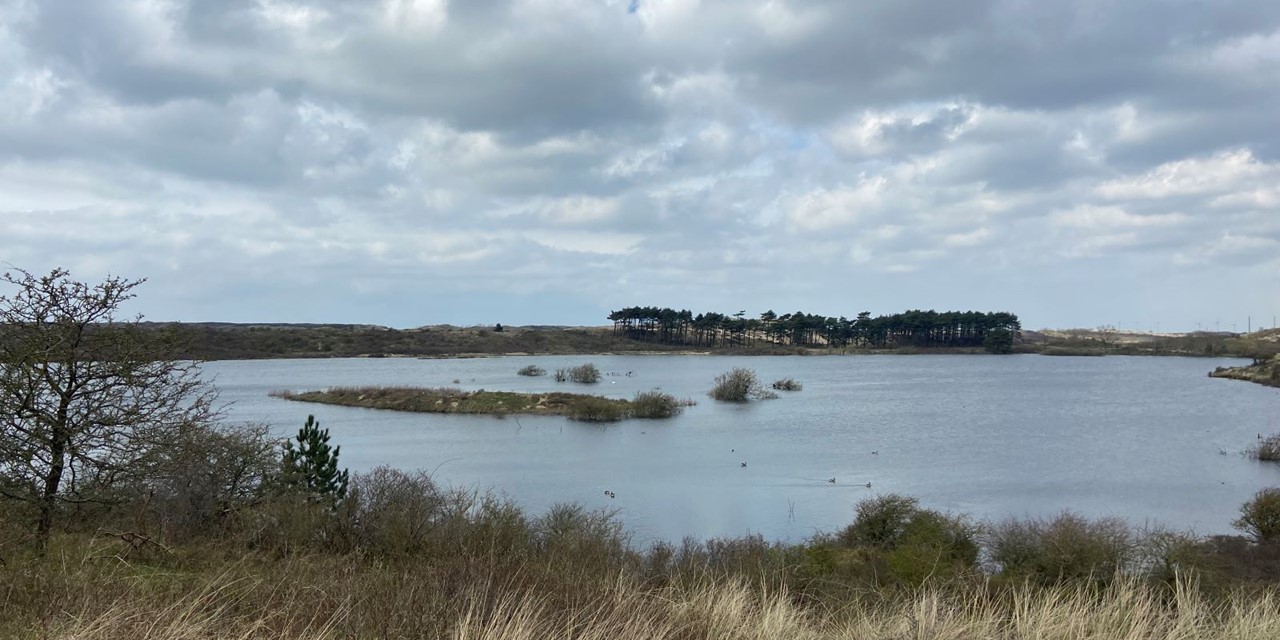 Tussen Stad En Groen Van Haarlem Naar De Kennemer Duinen: Vogel meer