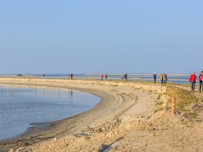 Foto: Photodigitaal.nl / Shutterstock